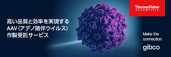 高い品質と効率を実現するAAV（アデノ随伴ウイルス）作製受託サービス Thermo Fisher Scientific